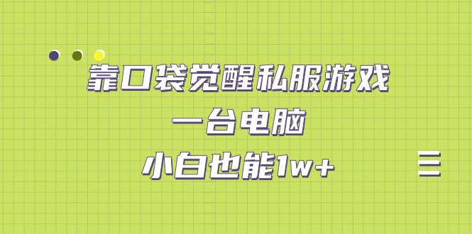 靠口袋觉醒私服游戏，一台电脑，小白也能1w+（教程+工具+资料）(口袋觉醒是不是下架了)