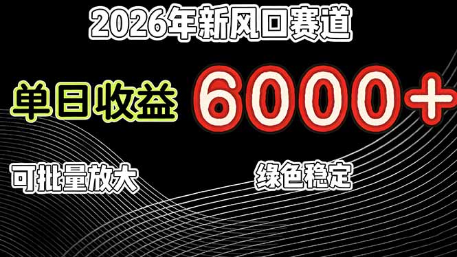 2026年新风口赛道，当日6000+以上，可批量放大，月收入20万+，长期绿色稳定的项目