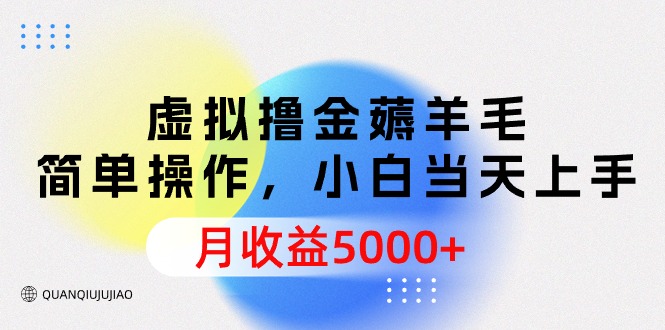 虚拟撸金薅羊毛，简单操作，小白当天上手，月收益5000+