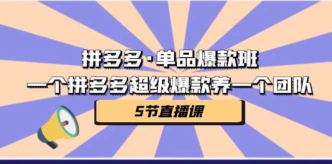 拼多多·单品爆款班，一个拼多多超级爆款养一个团队（5节直播课）(拼多多起爆款)