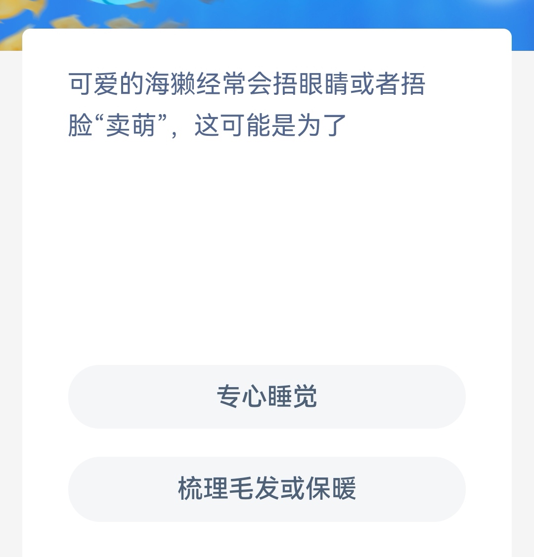 《神奇海洋》今日答案8.13最新