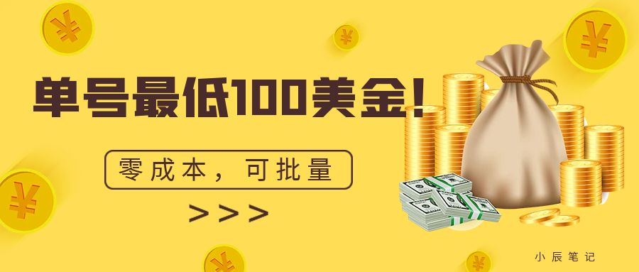 单号最低100美金，零成本，小白无脑操作。可复制，可扩大。(单日单号)