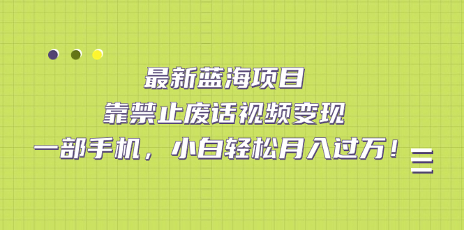 最新蓝海项目，靠禁止废话视频变现，一部手机，小白轻松月入过万！(蓝海方法)