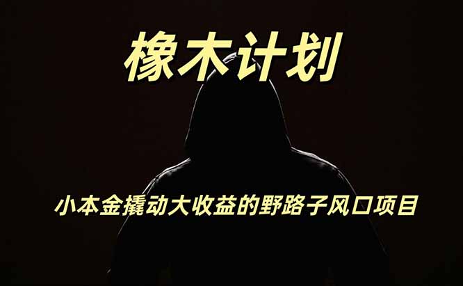 橡木计划，小投入撬动高回报的风口野路子项目，一天投入2小时左右