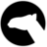 Dust3D(开源免费3D建模软件)