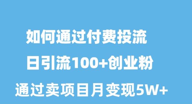 怎样通过付钱投流日引流方法100 自主创业粉月转现5W