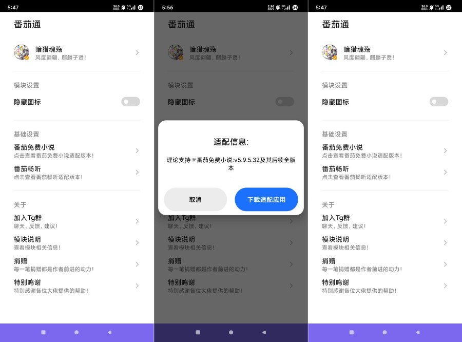 番茄通1.0.4番茄小说番茄畅听VIP解锁模块