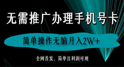 全网首发！无需推广，简单无脑办理手机号卡新玩法月入两万+（蓝海玩法附渠道）