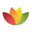 FreeOffice(免费Office办公软件)