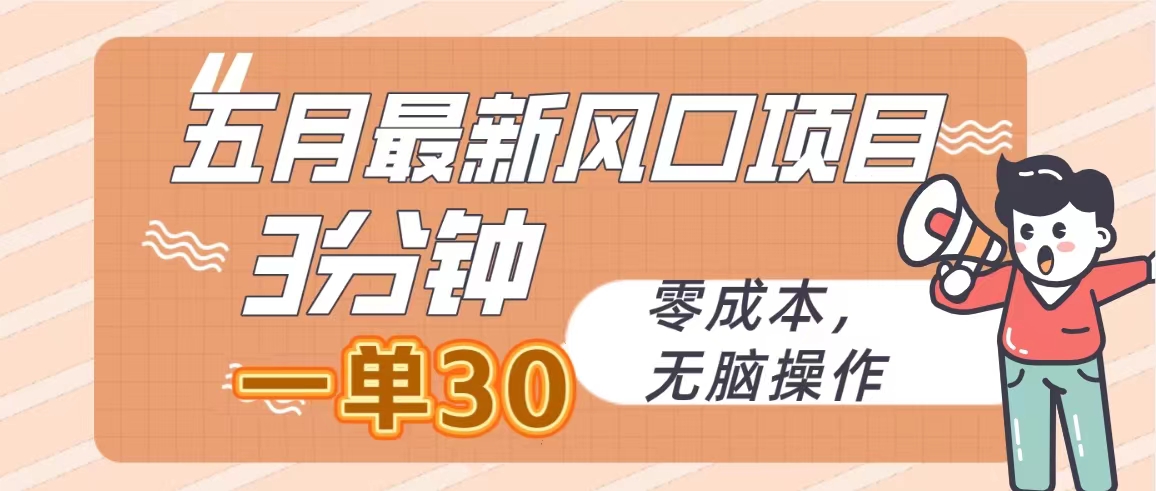 五月全新蓝海项目，3min一单30，零成本，没脑子实际操作